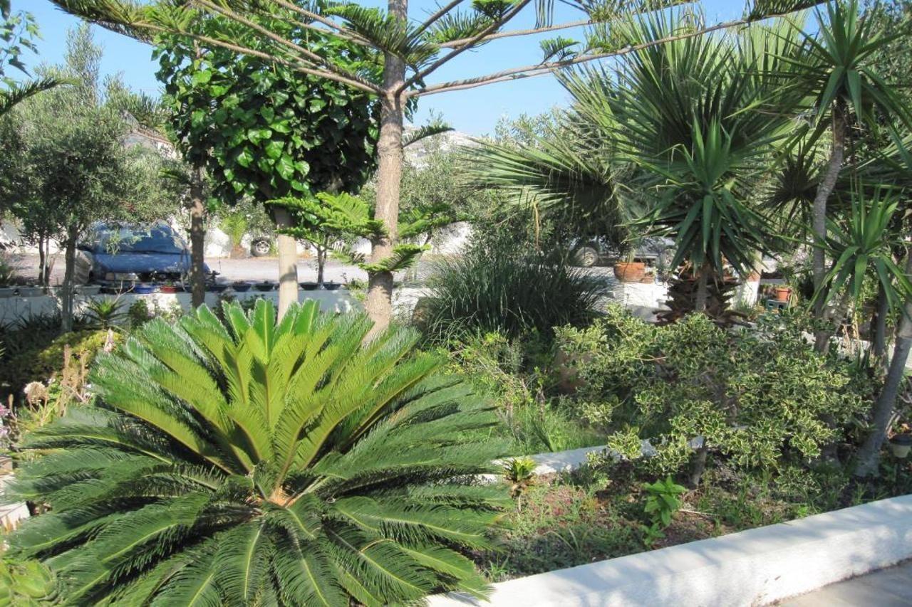 Villa Nikos Karamolegkos Kamari Bagian luar foto